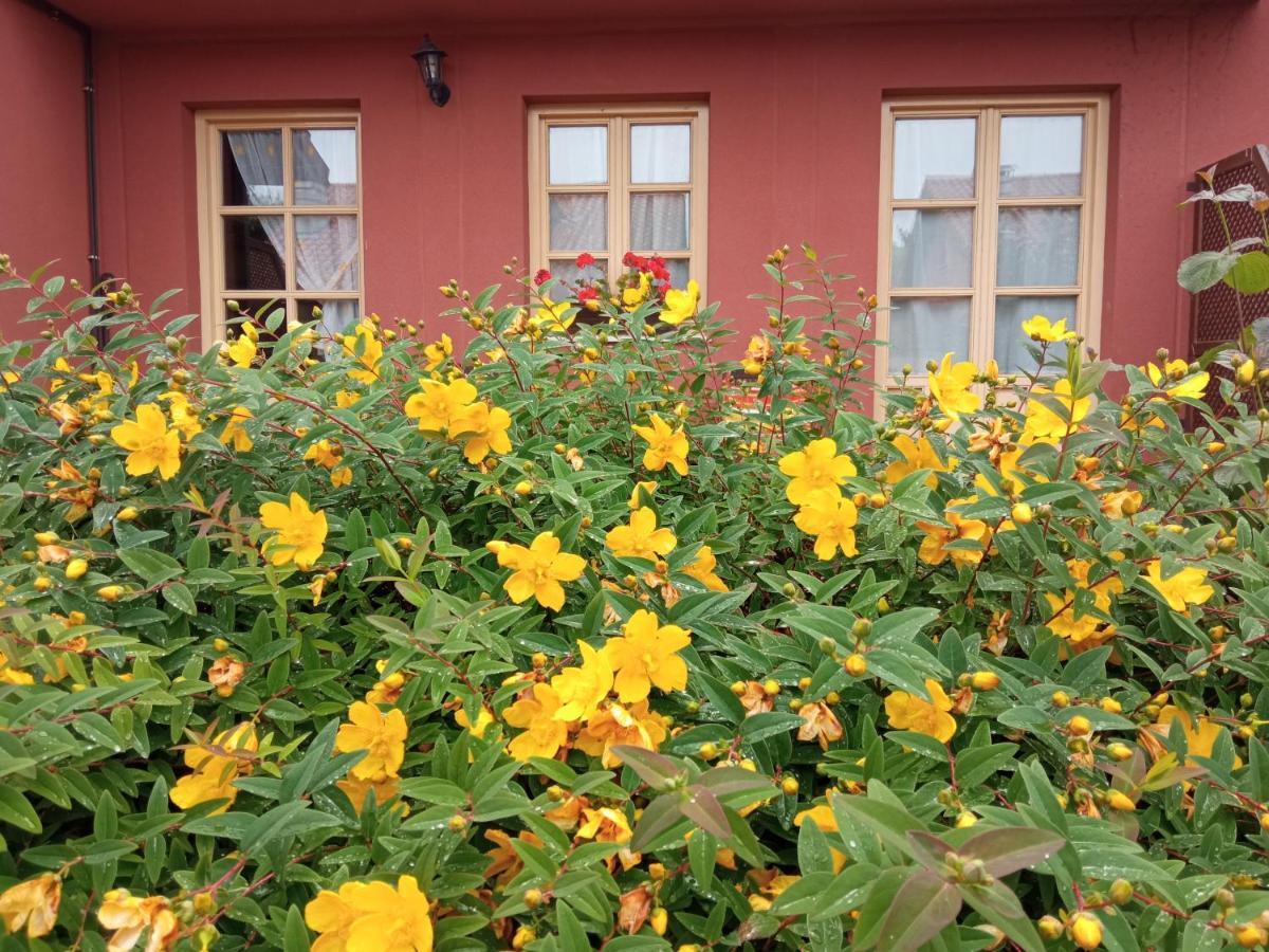 Las Martas Comillas Exterior photo